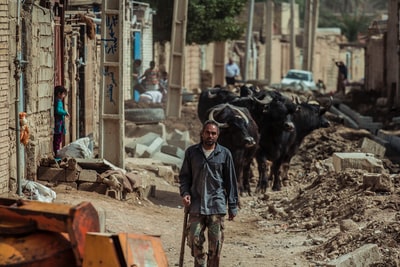 During the day, wearing a black leather jacket man standing beside the black cattle
